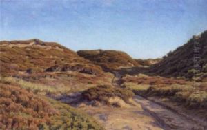 Lyngbakker I Solskin by Henrik Gamst Jespersen