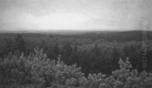 Atop The Forest Atop The Forest
