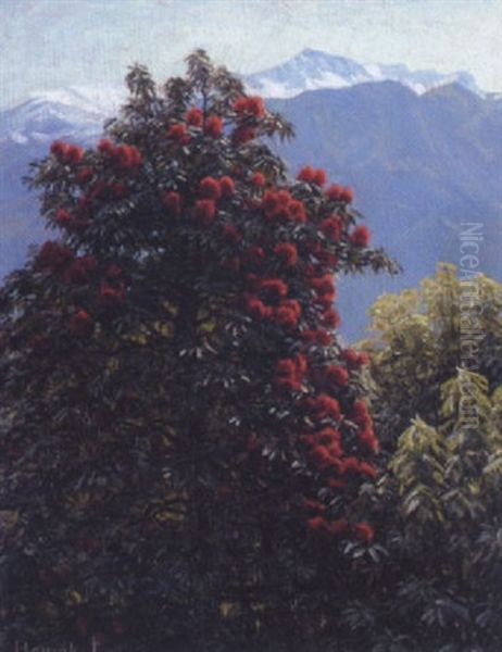 Parti Fra Tyrol Med Blomstrende Trae, I Baggrunden Sneklaedte Bjerge - view 1