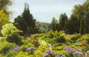 Cypreshojen I Haveselskabets Have by Henrik Gamst Jespersen