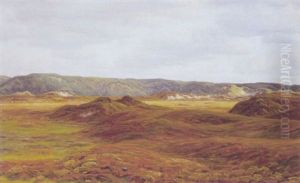 Hedelandskab Naer Havet by Henrik Gamst Jespersen