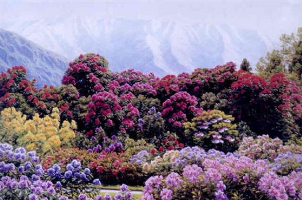 Parti Fra Alperne Med Blomsterhave - view 1