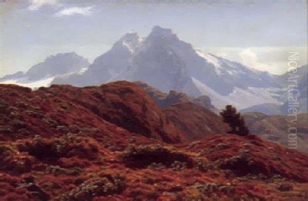 Bjerglandskab - view 1