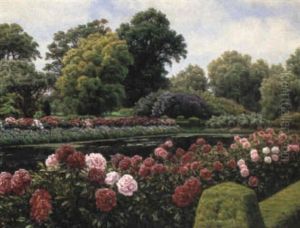The Rose Garden The Rose Garden