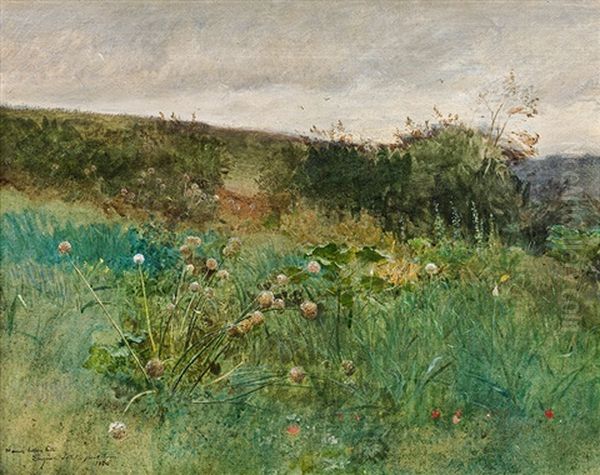 In The Meadow Near Pont-aven - view 1