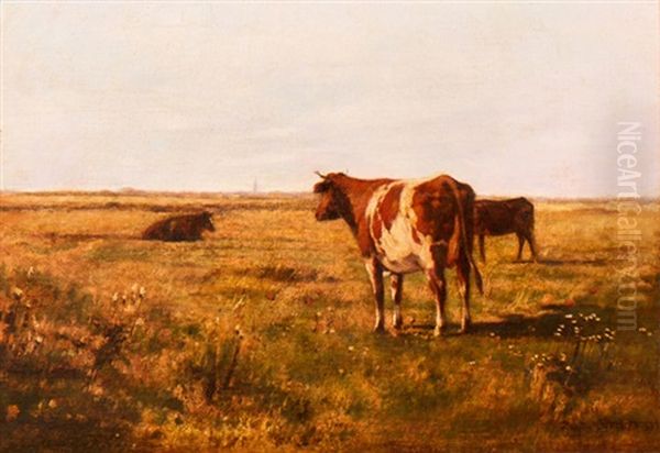 Kuhe In Weiter Landschaft In Frankreich - view 1