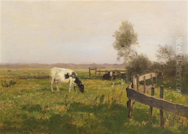 Cows On The Pasture - view 1