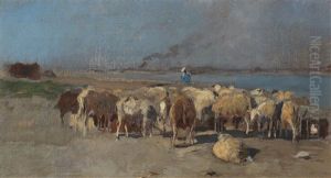 Herd Of Sheep In The Evening Light Herd Of Sheep In The Evening Light
