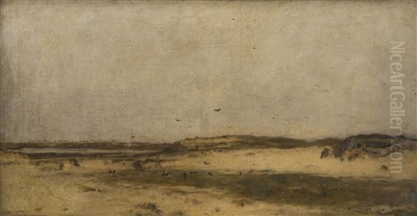 Sand Dunes In Holland - view 1