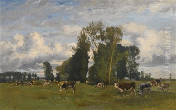 Grazing Cows On A Meadow - view 1