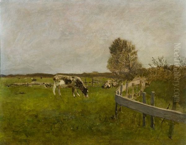 Weide Bei Cayeux (picardie) - view 1