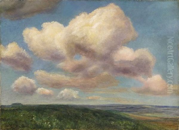 A Panoramic Coastal Landscape - view 1