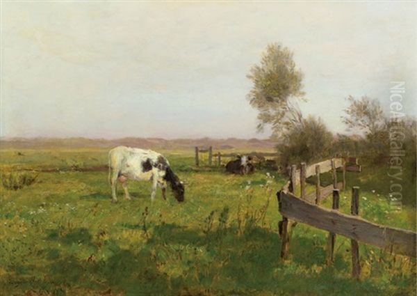 Weide Bei Cayeux - view 1