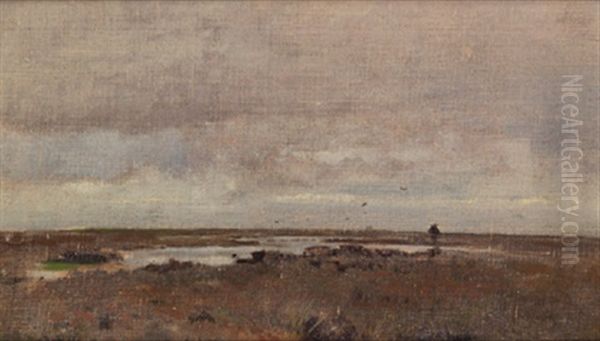 Hollandische Landschaft - view 1