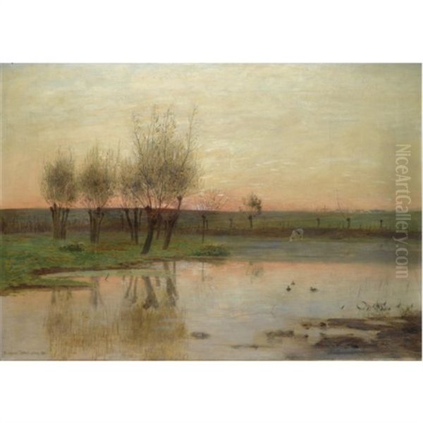 Stehendes Gewasser Mit Weiden-the Watermeadow - view 1