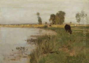 Uferlandschaft Uferlandschaft