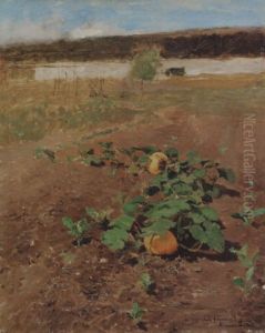 The Pumpkin Field