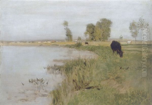 Uferlandschaft Mit Kuhen - view 1