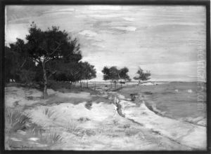 Dunenlandschaft Dunenlandschaft