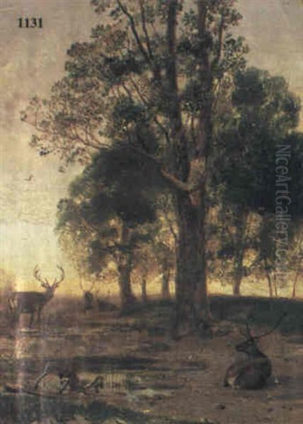 Wild Auf Einer Lichtung In Der Dammerung - view 1