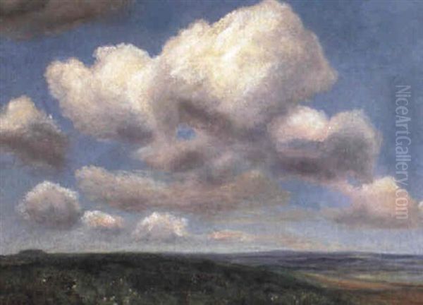 Extensive Landscape - view 1