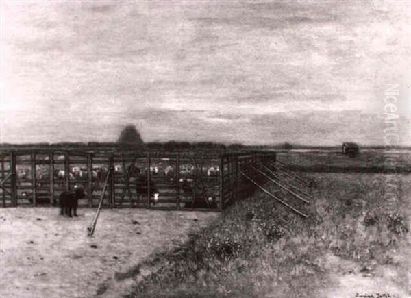 Schafpferch Bei Cayeux - view 1