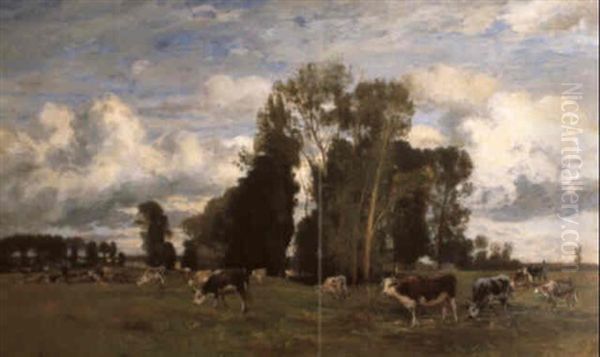 Weideszene In Nordfrankreich - view 1