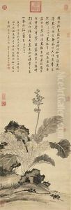 Chinese Cabbage by Jiang Tingxi