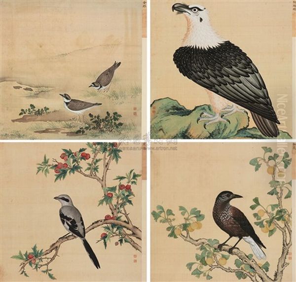 Album Of Birds (4 Works) - view 1