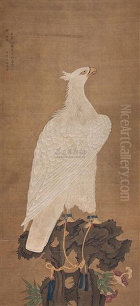 White Eagle - view 1
