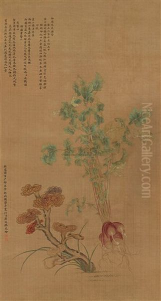 Vegetable - view 1