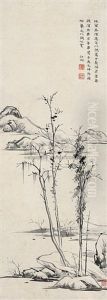 Landscape Landscape