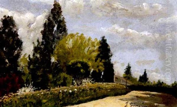 Paisaje - view 1