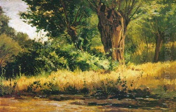 Paisaje Con Chopos - view 1