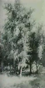 Arboleda