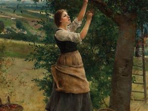 Cherry Picking by Luis Jimenez Y Aranda