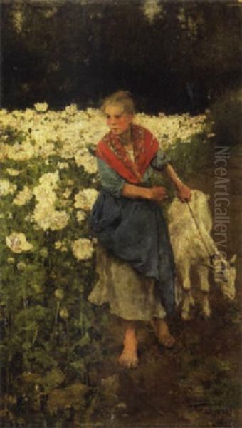 A Young Girl With A Goat By A Field Of Flowers - view 1
