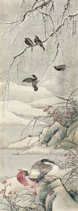 Snow Birds