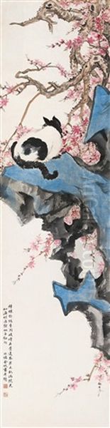Cat - view 1