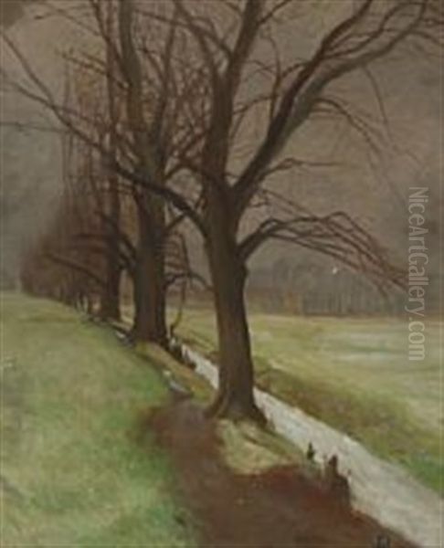 Trees By The Ditch, Overcast - view 1