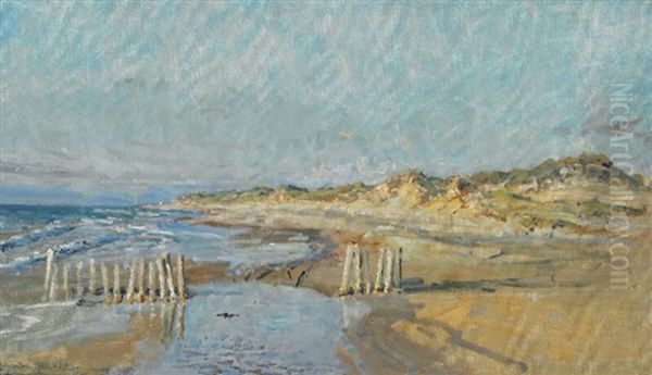 Hojen Beach At Skagen - view 1