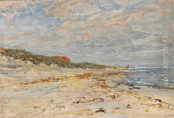 Summer Day At Skagen Sonderstrand Overlooking Klitgarden - view 1