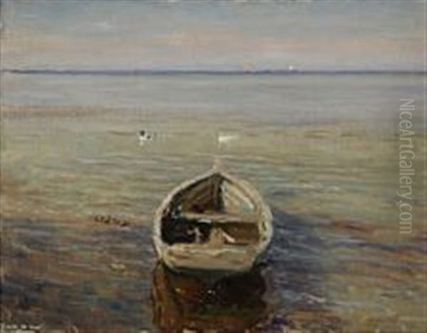 View From A Beach With A Rowing Boat And Ducks - view 1