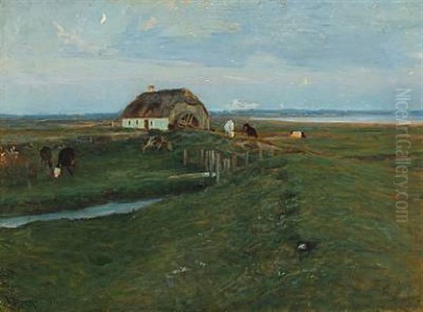 Cattle Grassing In The Fields At Dusk - view 1