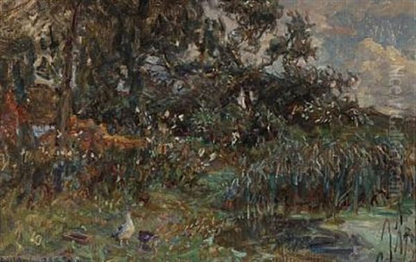 Landscape From Saeby, Denmark - view 1