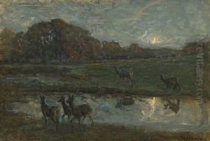 Nightscape With Deers Nightscape With Deers