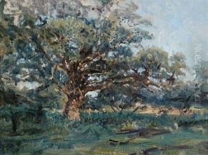 A Large Oak Tree