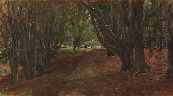 A Dirt Road Through An Autumn Forest - view 1