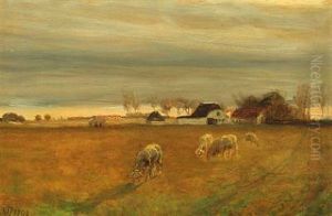Landscape From Skagen With Grazing Sheep Landscape From Skagen With Grazing Sheep