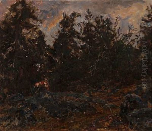 Tyreso Sverige (forest Scene From Tyreso, Sweden) - view 1